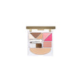 LEPO Mineral Make-Up Palette Nr. 1