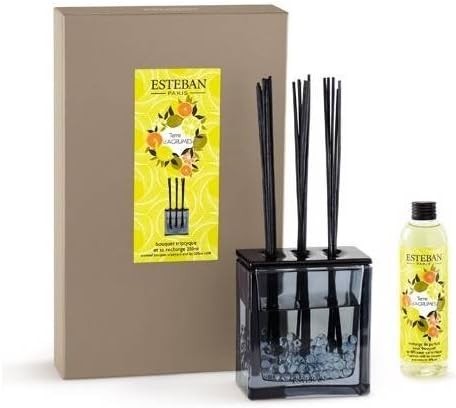 ESTEBAN Terre d'Agrumes Bouquet Parfumé TRIPTYQUE et sa Recharge 250 ml - Bouquet d'Agrumes Énergisant