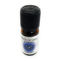 DHANVANTARI Oli Essenziali Chakra 10 ml - 6° Chakra Peace of Mind