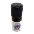 DHANVANTARI Oli Essenziali Chakra 10 ml - 7° Chakra Spirit