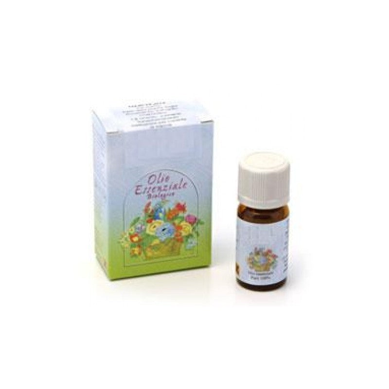 DHANVANTARI Olio Essenziale Cipresso BIO Balsamico e Tonificante 10 ml