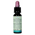 DI LEO Fiori di Bach 17 - Hornbeam 10 ml - Energia e Vitalità Mentale