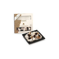 ESTEBAN Cèdre Coffret Décoratif Céramique Parfumée - Coffret Cadeau Boisé et Design
