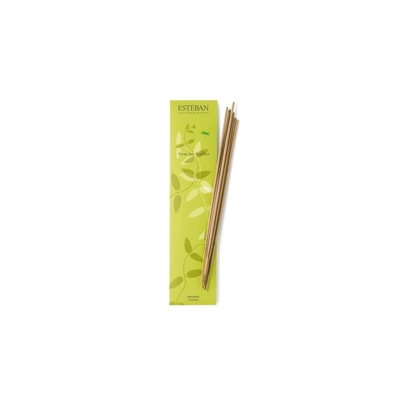 ESTEBAN Sous les Feuilles Encens Indiens - Encens Indiens Parfum Vert Frais