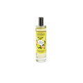 ESTEBAN Terre d'Agrumes Vaporisateur 50 ml - Parfum d'Intérieur Agrumes Pétillant Format Voyage