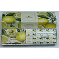 LA DISPENSA Scatola Sapone 50 Gr + 3 Buste Profumatore Limone